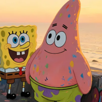 Administrator 头像